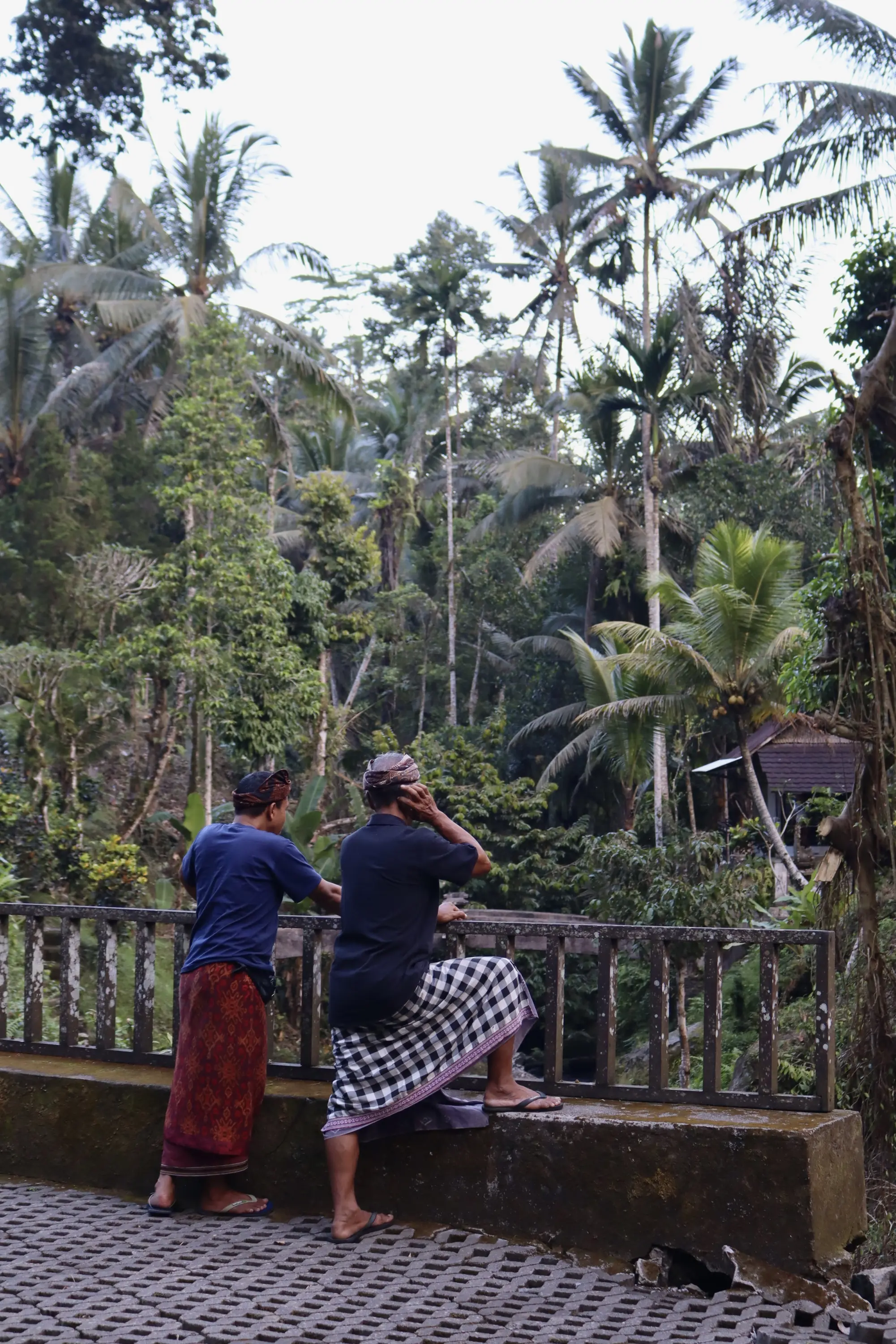 Two men looking out toward a waterfall in Bali